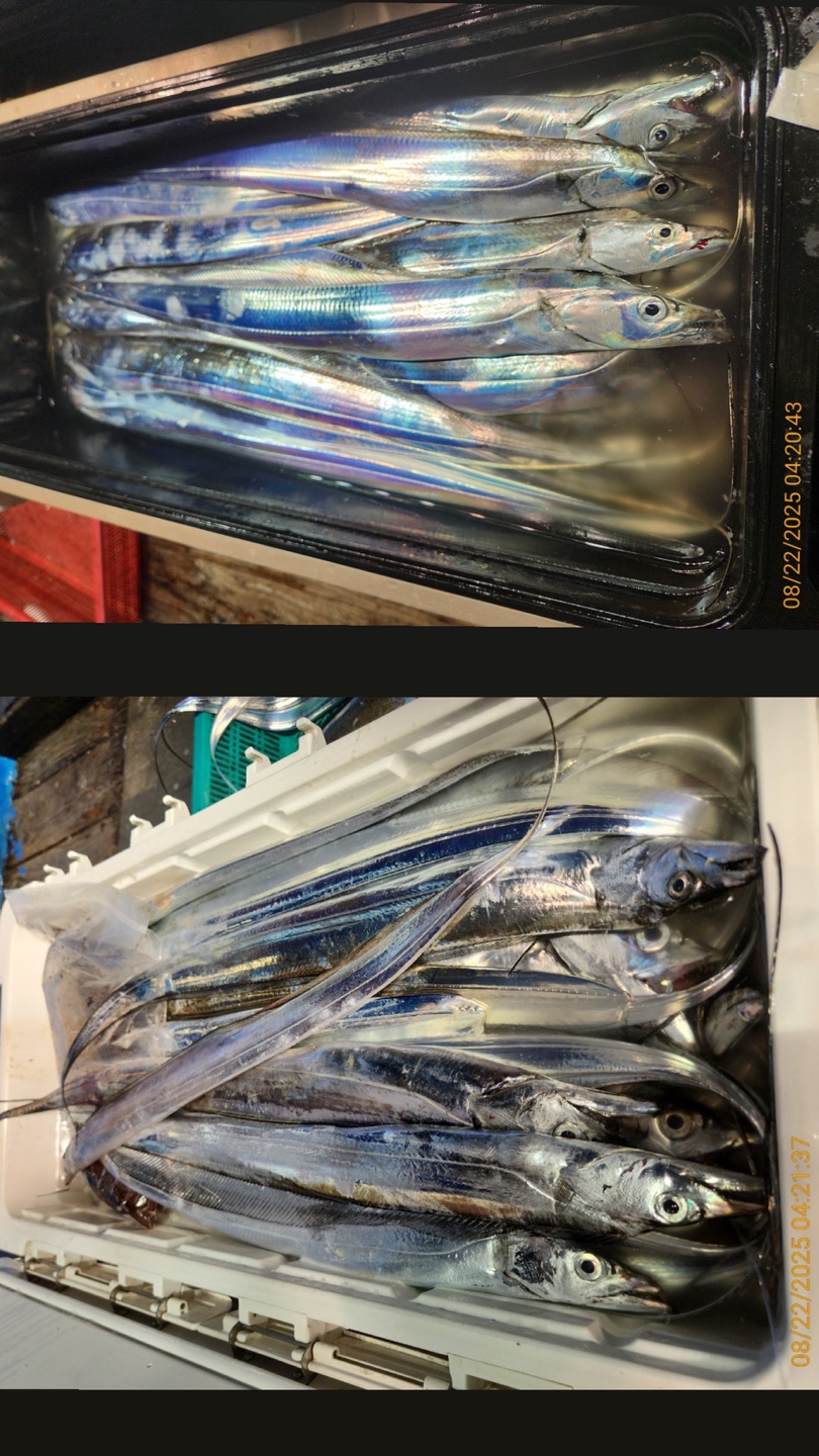 b97ae8a26057c0b040572bb9fdaf13e2_1755846810_4556.jpg