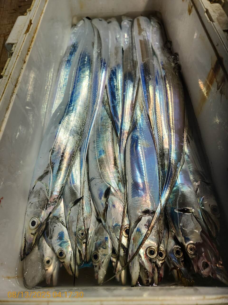f655e6db359e26d9b89571d8ec6ddf53_1755080515_5146.jpg