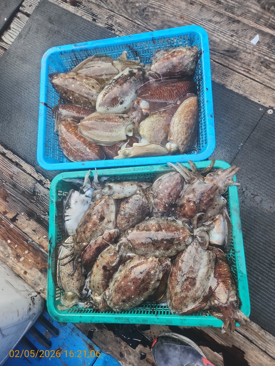 0aa71a4b05f408b44d97786ae0d9cfed_1770282645_0578.jpg 0aa71a4b05f408b44d97786ae0d9cfed_1770282645_0578.jpg