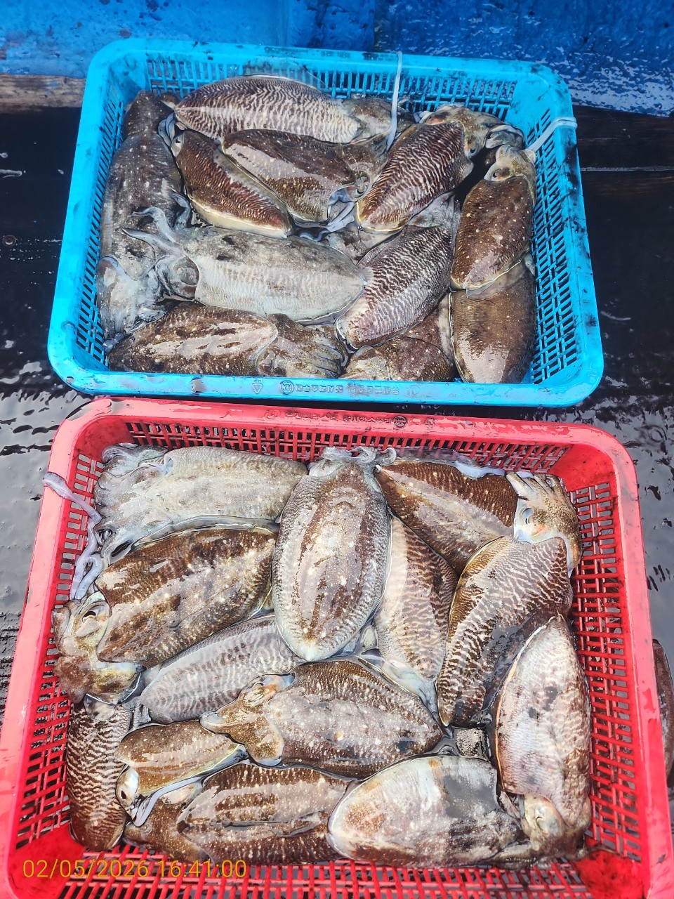 0aa71a4b05f408b44d97786ae0d9cfed_1770282645_2122.jpg 0aa71a4b05f408b44d97786ae0d9cfed_1770282645_2122.jpg