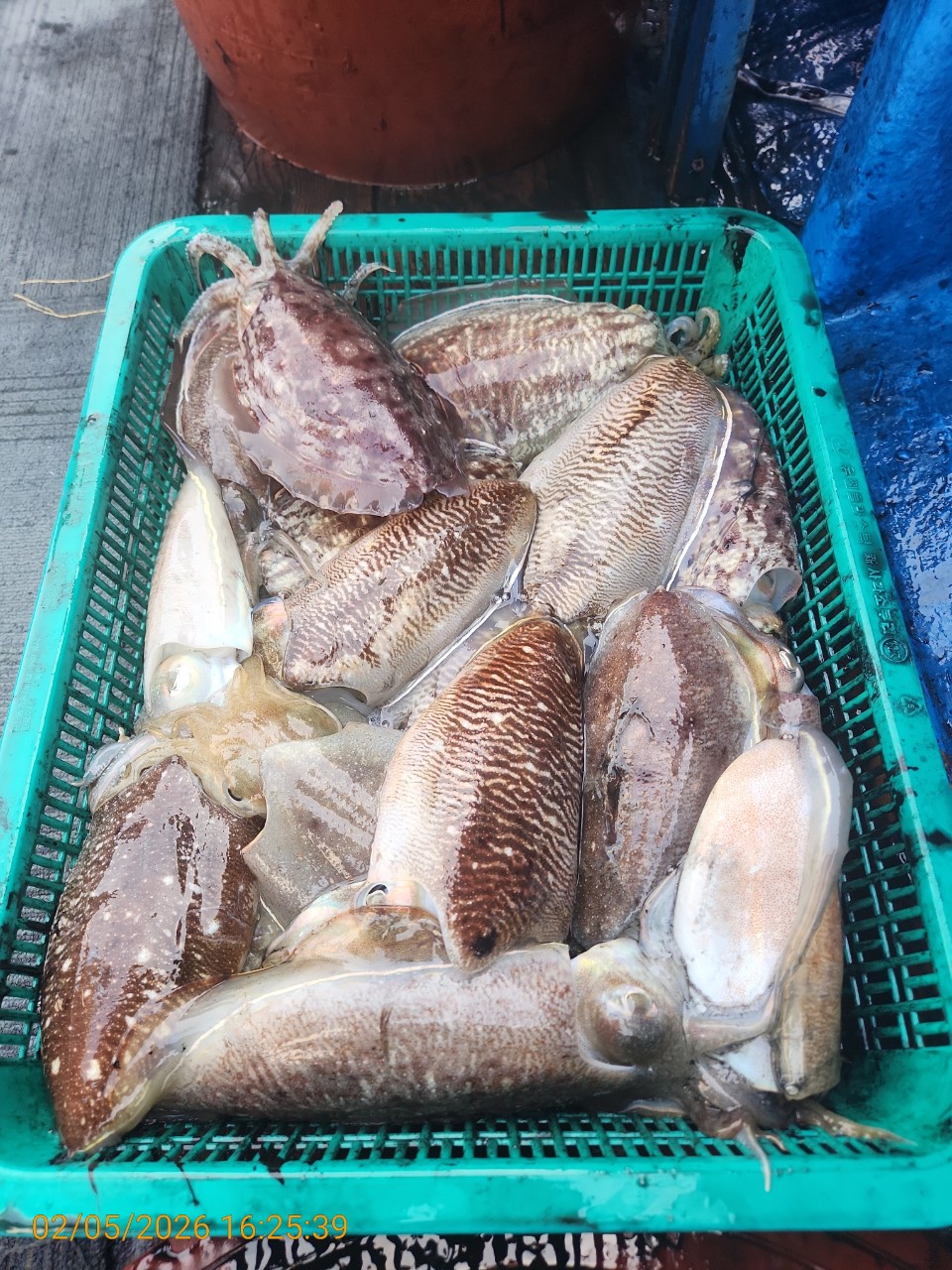 0aa71a4b05f408b44d97786ae0d9cfed_1770282645_3582.jpg 0aa71a4b05f408b44d97786ae0d9cfed_1770282645_3582.jpg