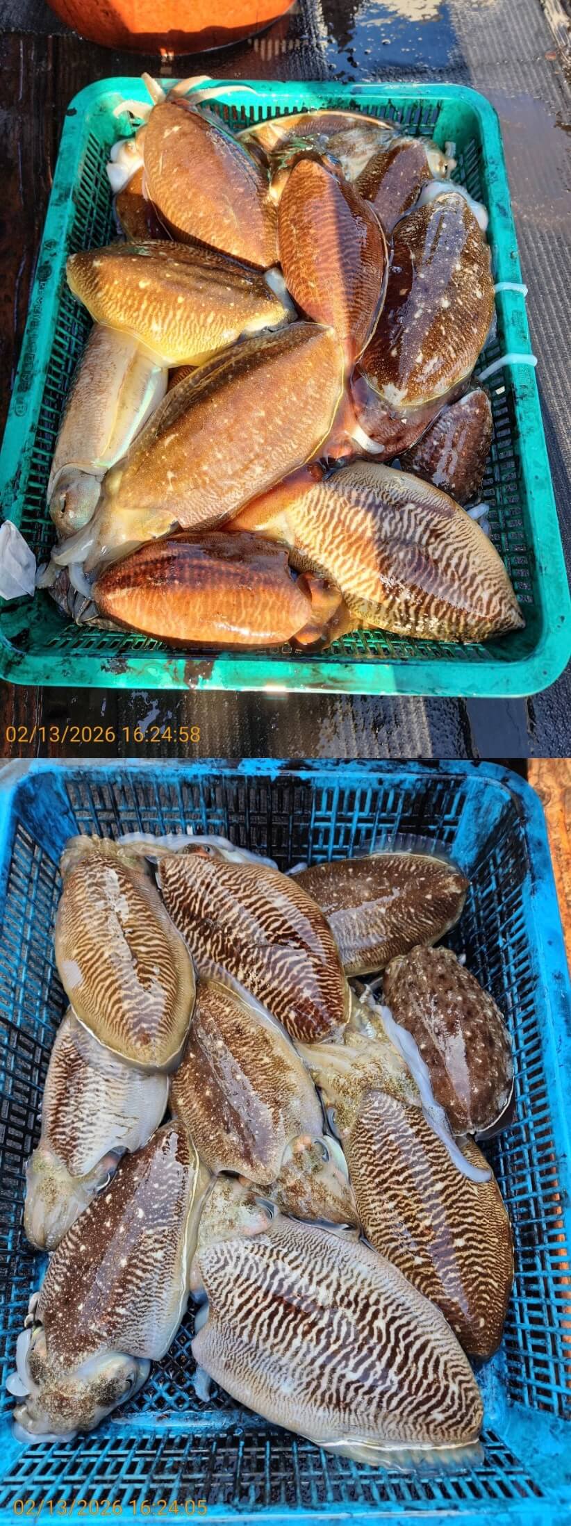 924a4f98ef87316fab3836eb10f168e7_1770983808_5509.jpeg 924a4f98ef87316fab3836eb10f168e7_1770983808_5509.jpeg