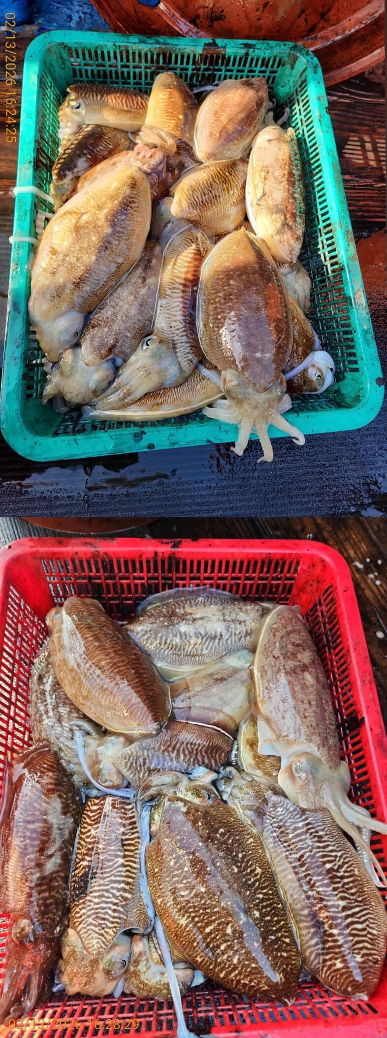 924a4f98ef87316fab3836eb10f168e7_1770983812_2081.jpeg 924a4f98ef87316fab3836eb10f168e7_1770983812_2081.jpeg