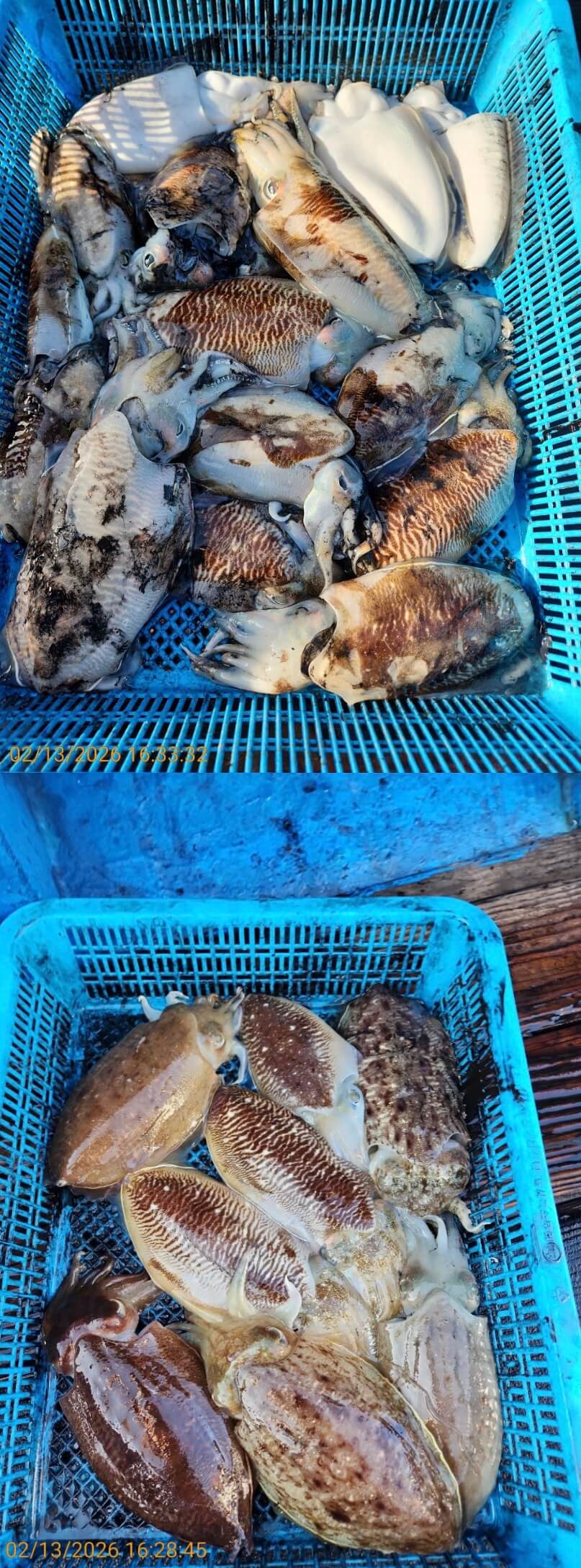 924a4f98ef87316fab3836eb10f168e7_1770983813_4428.jpeg 924a4f98ef87316fab3836eb10f168e7_1770983813_4428.jpeg