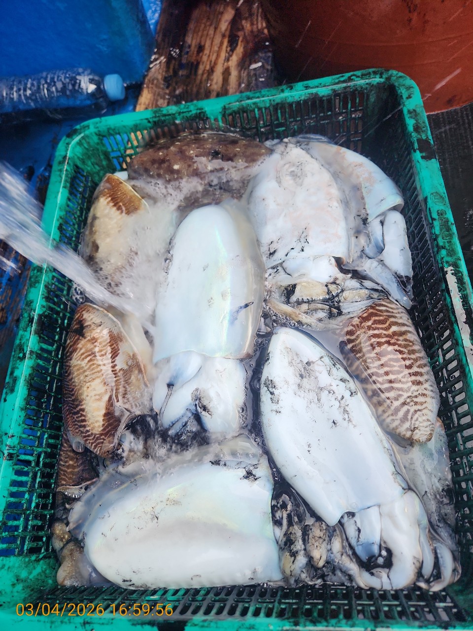 ca807c32dd17969fa3b9ba3b14c763c8_1772626432_6348.jpeg ca807c32dd17969fa3b9ba3b14c763c8_1772626432_6348.jpeg