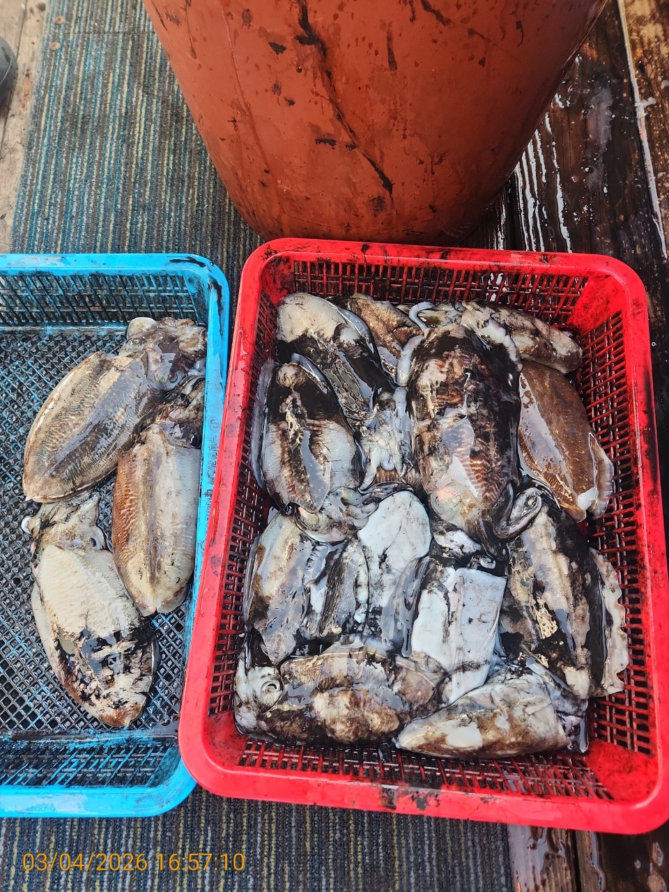 ca807c32dd17969fa3b9ba3b14c763c8_1772626434_1321.jpeg ca807c32dd17969fa3b9ba3b14c763c8_1772626434_1321.jpeg