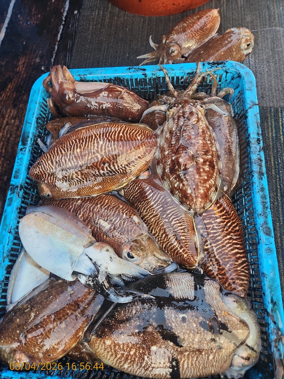 ca807c32dd17969fa3b9ba3b14c763c8_1772626435_4867.jpeg ca807c32dd17969fa3b9ba3b14c763c8_1772626435_4867.jpeg