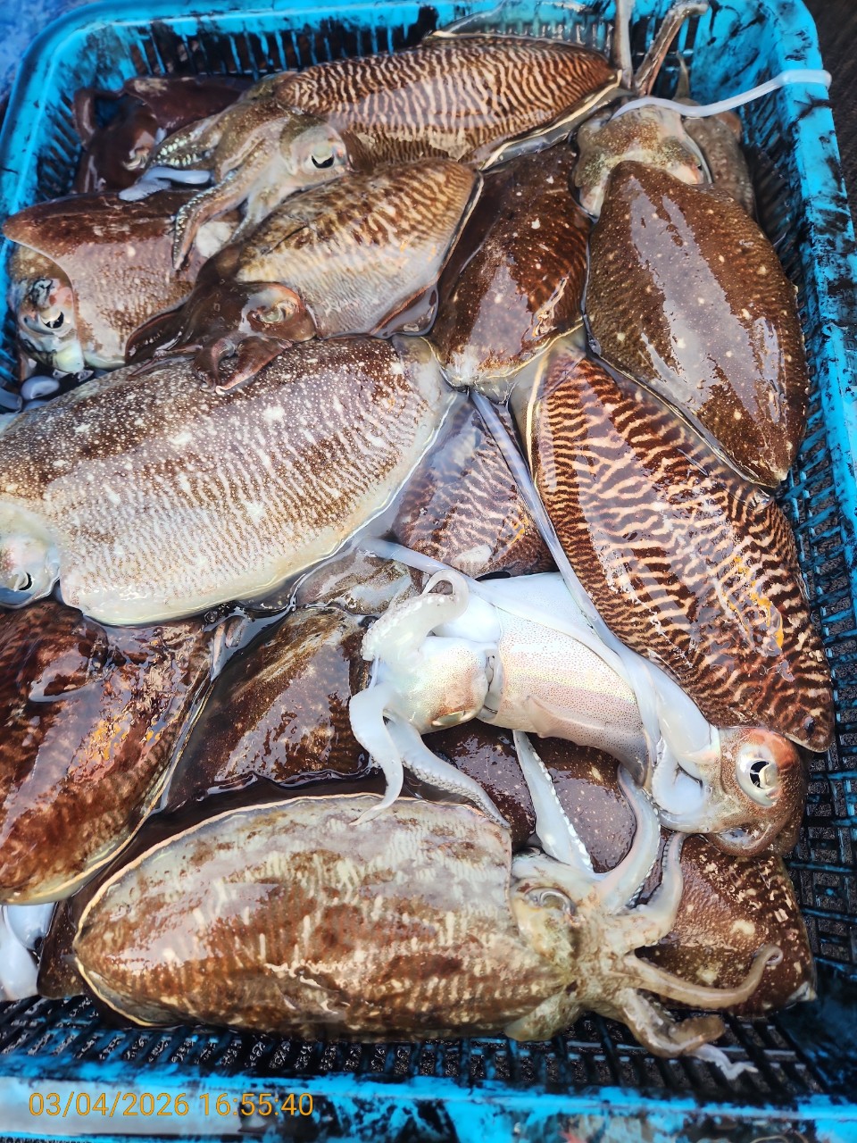 ca807c32dd17969fa3b9ba3b14c763c8_1772626436_9899.jpeg ca807c32dd17969fa3b9ba3b14c763c8_1772626436_9899.jpeg