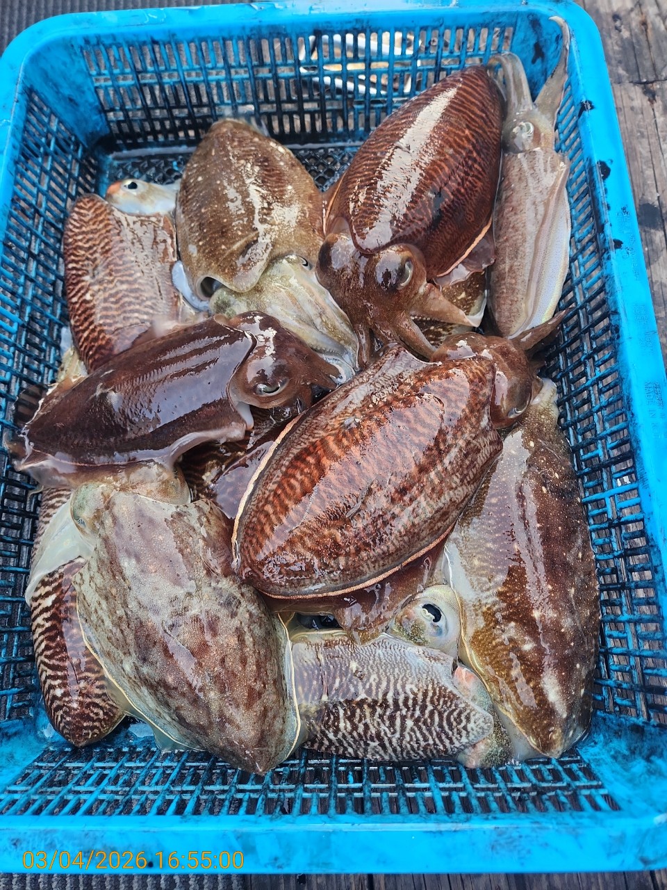 ca807c32dd17969fa3b9ba3b14c763c8_1772626438_4105.jpeg ca807c32dd17969fa3b9ba3b14c763c8_1772626438_4105.jpeg