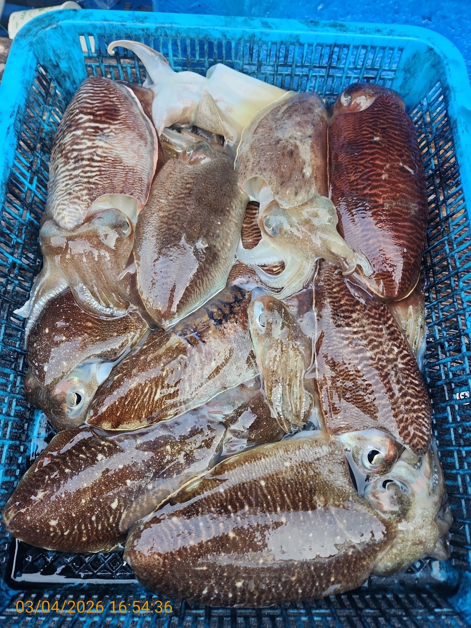 ca807c32dd17969fa3b9ba3b14c763c8_1772626440_6178.jpeg ca807c32dd17969fa3b9ba3b14c763c8_1772626440_6178.jpeg