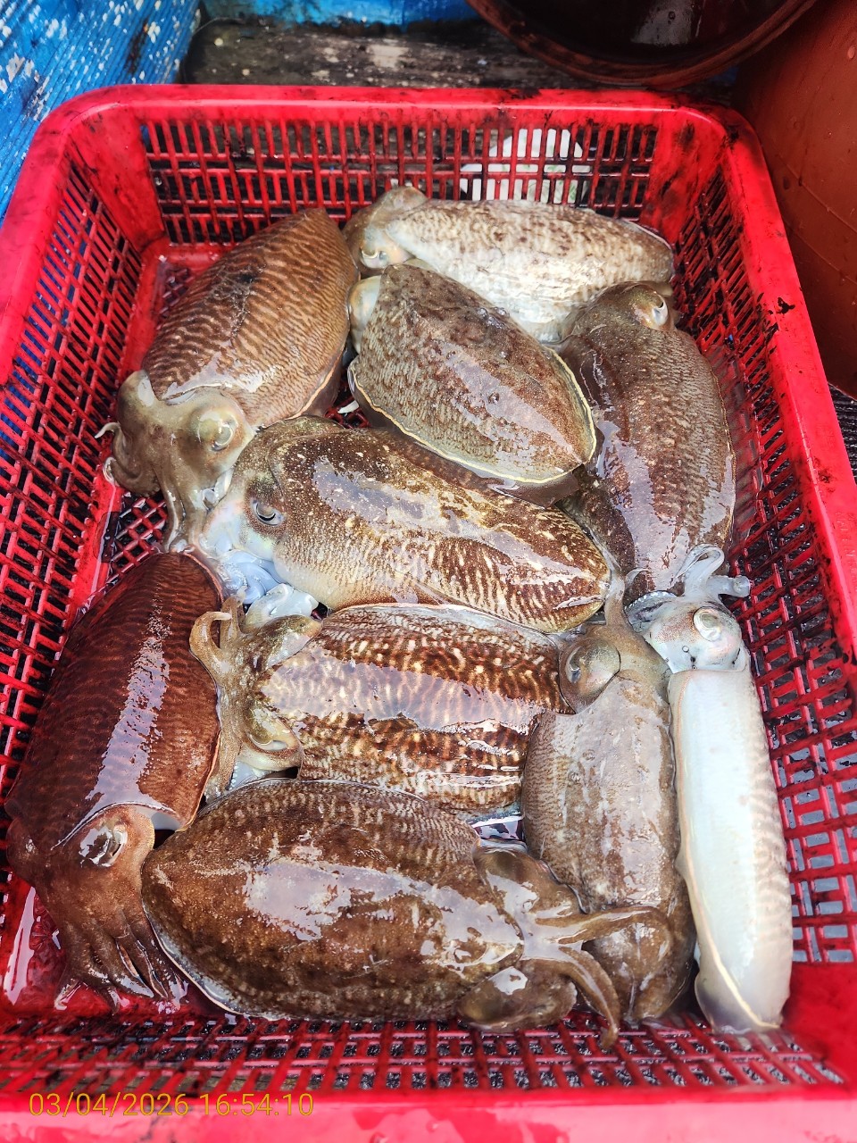 ca807c32dd17969fa3b9ba3b14c763c8_1772626441_8152.jpeg ca807c32dd17969fa3b9ba3b14c763c8_1772626441_8152.jpeg