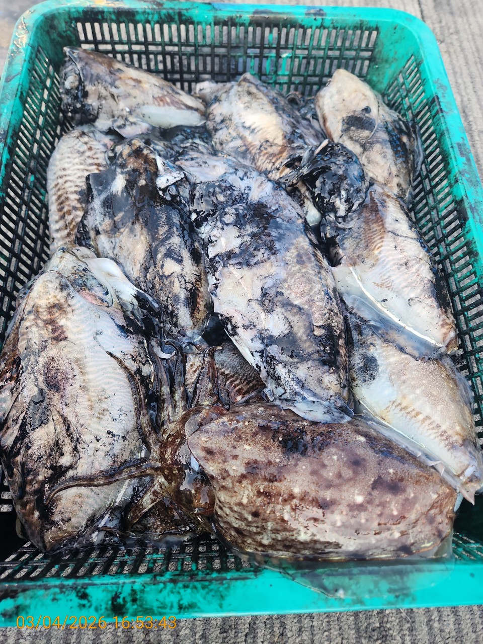 ca807c32dd17969fa3b9ba3b14c763c8_1772626443_2719.jpeg ca807c32dd17969fa3b9ba3b14c763c8_1772626443_2719.jpeg